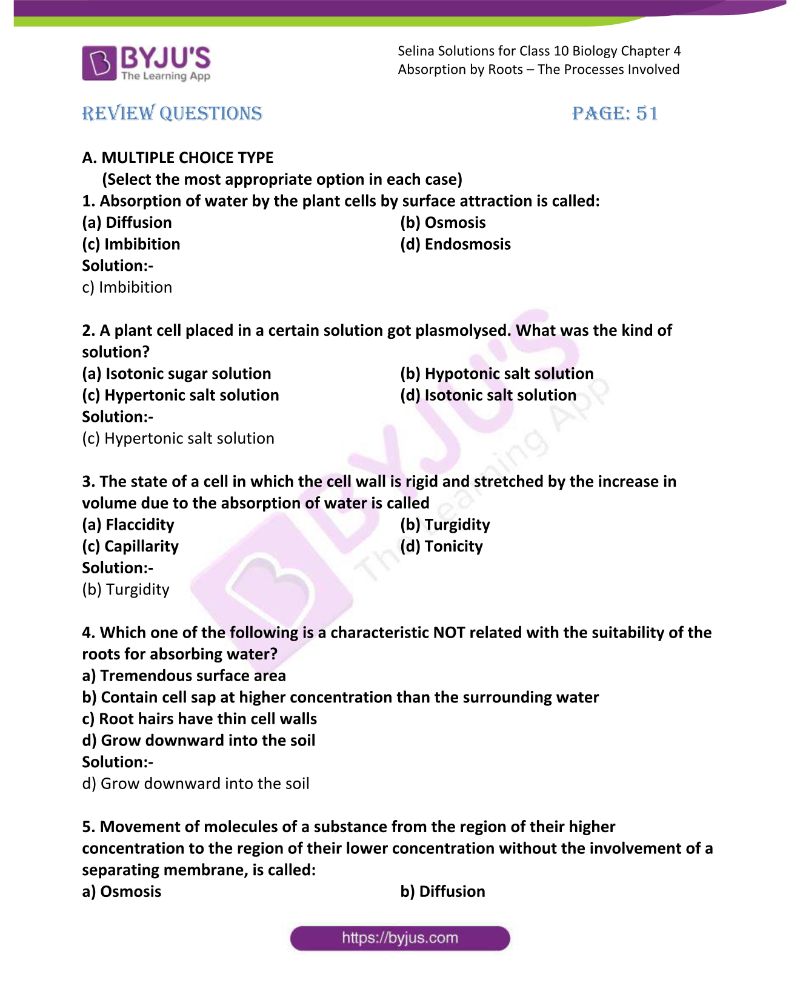 A Tour of the Cell Chapter 4 Study Guide Answers